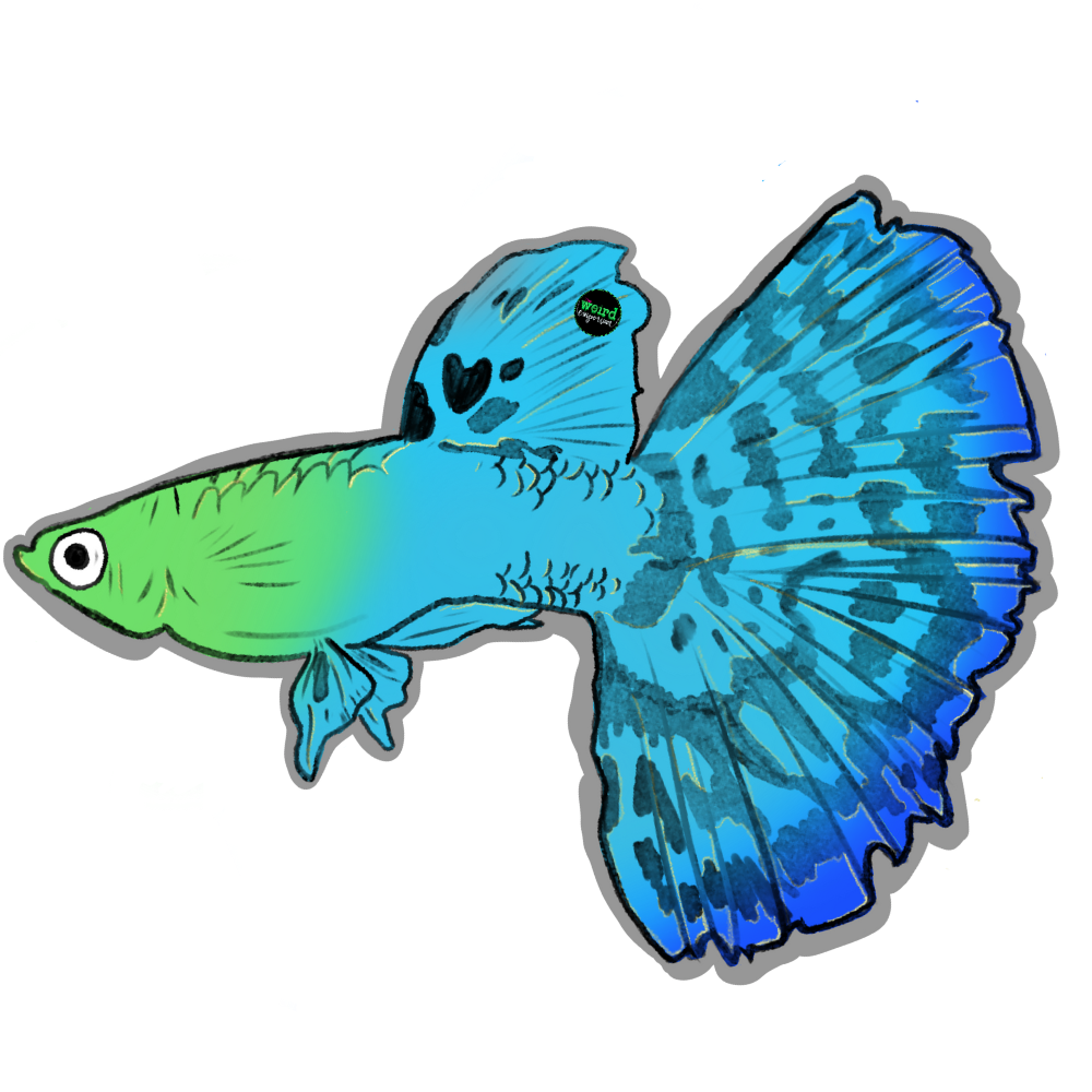 Guppy Sticker