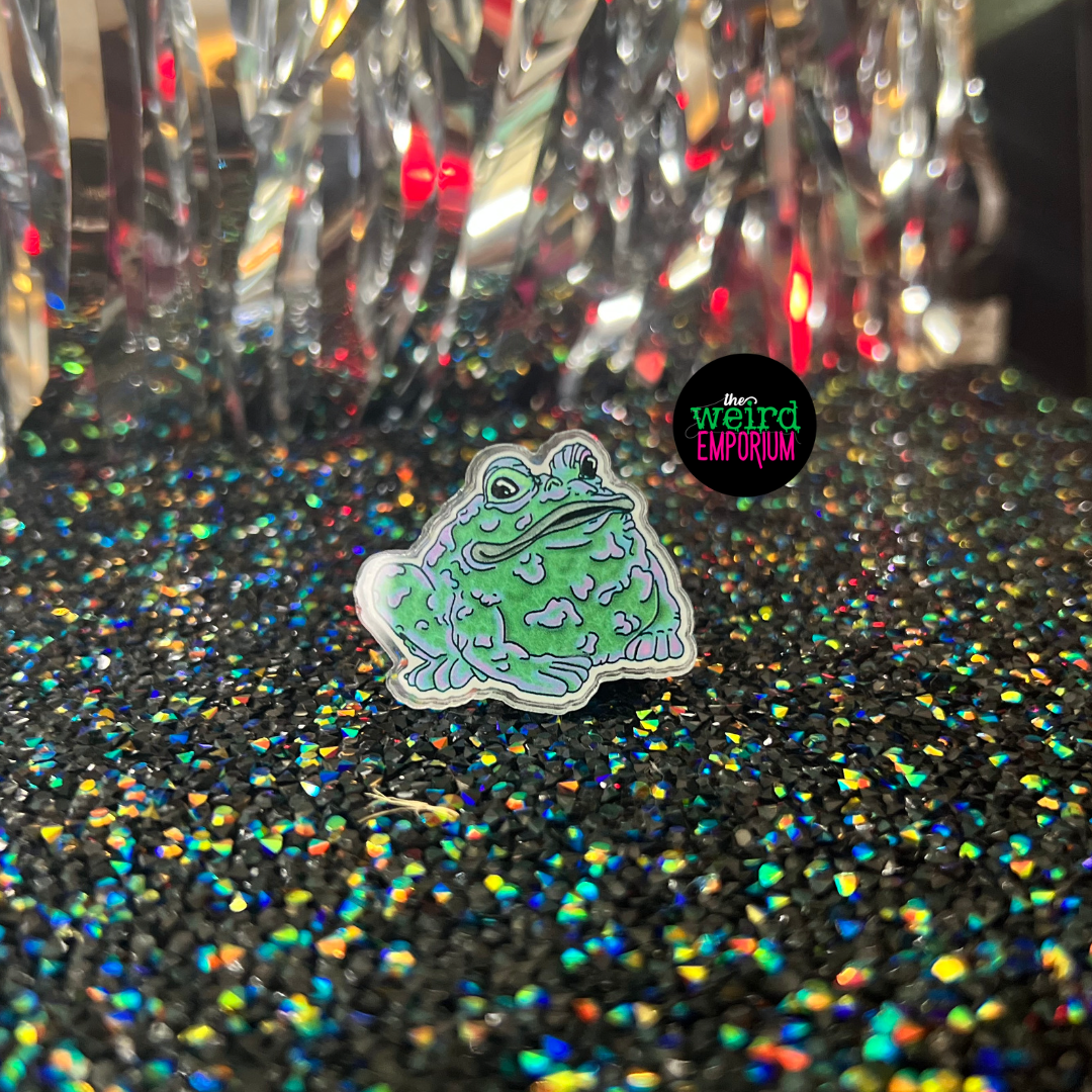 Toad Pin, Cottagecore Pin, Toadie Pin, animal pin, frog and toad pin, nature pin, pastel goth pin, weird pin, weird gift, frog pin,