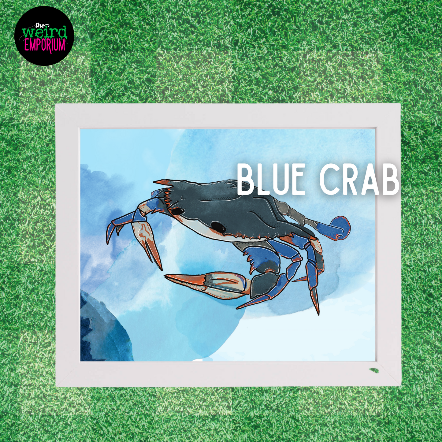 Blue Crab Print