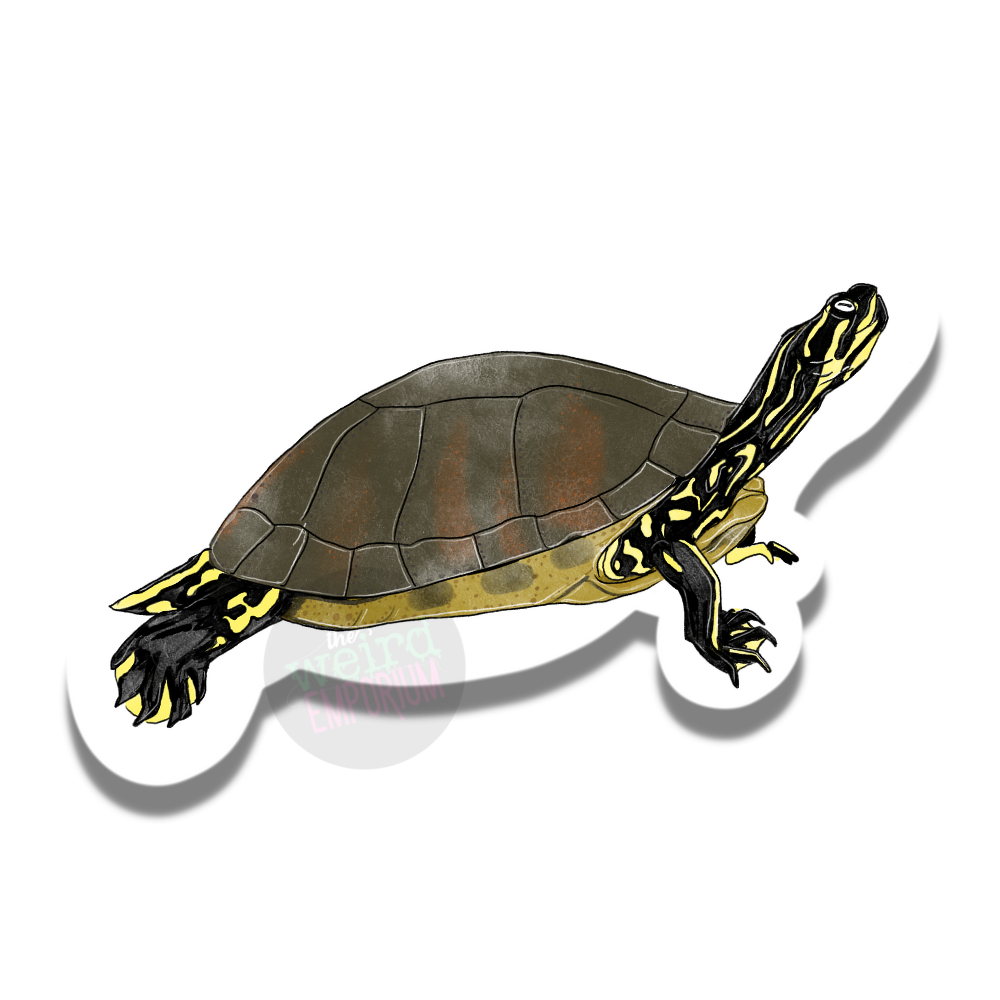 Turtle Sticker